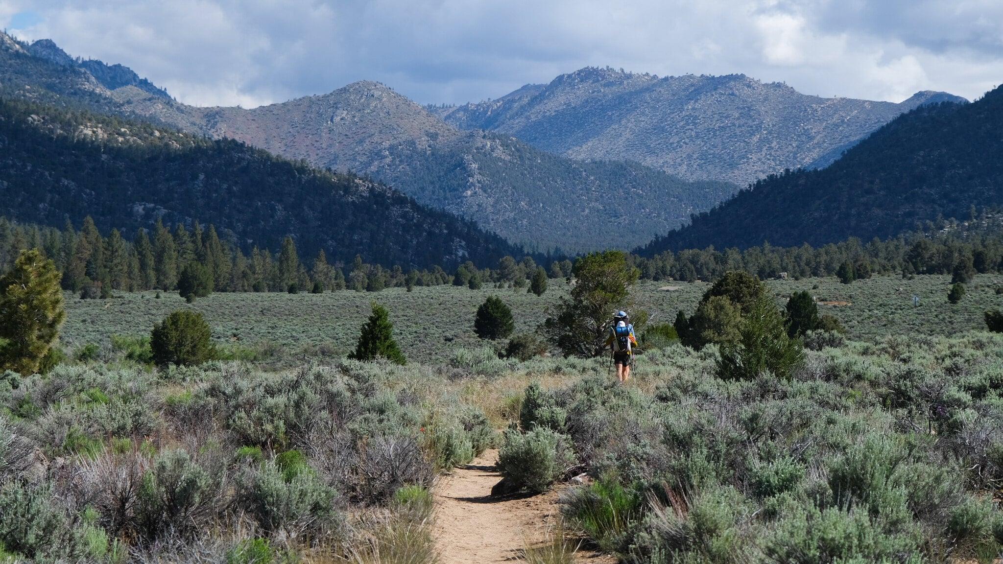 South Sierra Wilderness: Kennedy Meadows to Beck Meadow